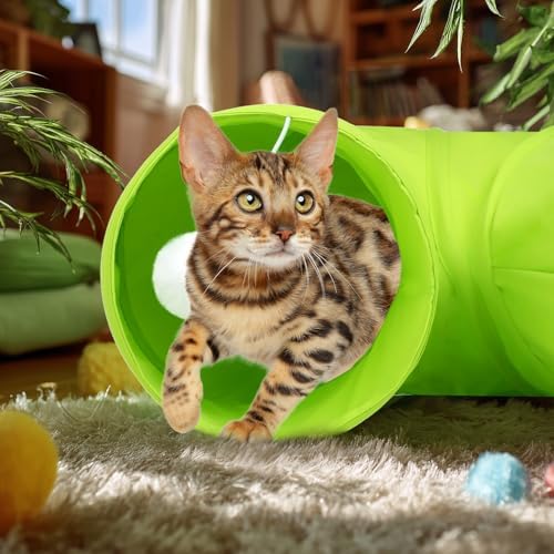 Cat Tunnel, 2-Way Collapsible Cat Tube with Interactive Peek-A-Boo Hole, Toy Ball, and Rope – Ideal for Indoor Cats, Kittens, and Rabbits (Green)