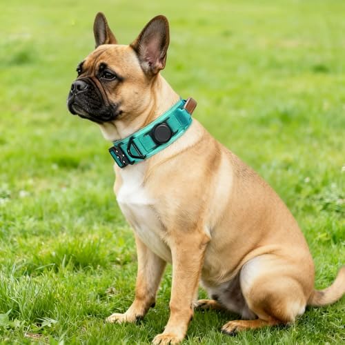 2" Tactical Dog Collar with Airtag Holder & Handle for Medium Dogs (Teal)