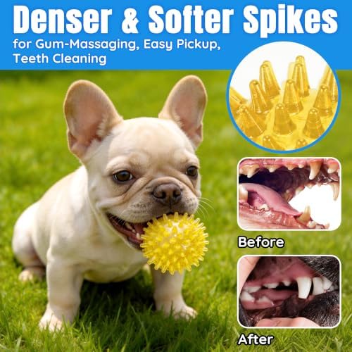 LECHONG 12-Pack Squeaky Spiky Dog Balls, 2.5" Balls for Small Medium Dogs | Durable TPR, Floats, Bouncy, Soothes gums, Cleans teeth, Boredom buster, Interactive Play, Indoor and Outdoor Fetch