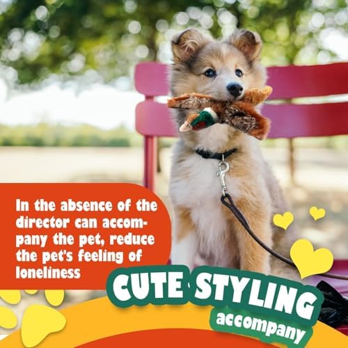 ALL FOR PAWS Dog Interactive Pheasant Toys, Squeaky Dog Toys, Stuffed Animal Dog Hunting Plush Toy, Large