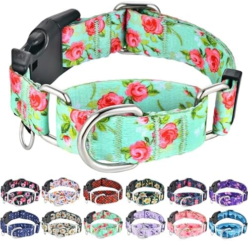 Martingale Collar for Dogs with Buckle No Pull, Green Floral, M