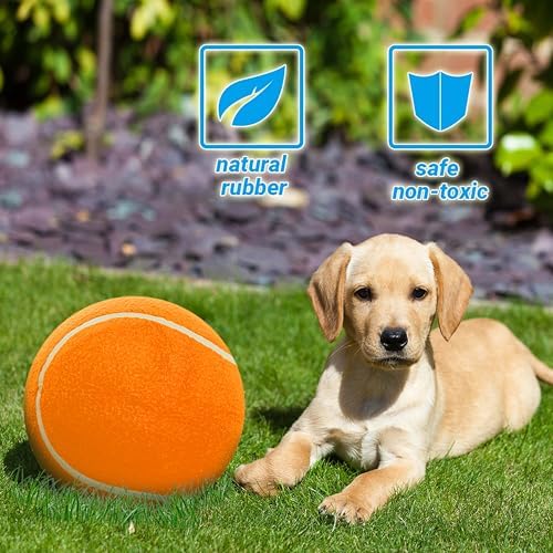 9.5" Large Dog Tennis Balls (2-Pack), Inflatable Toy with Pump