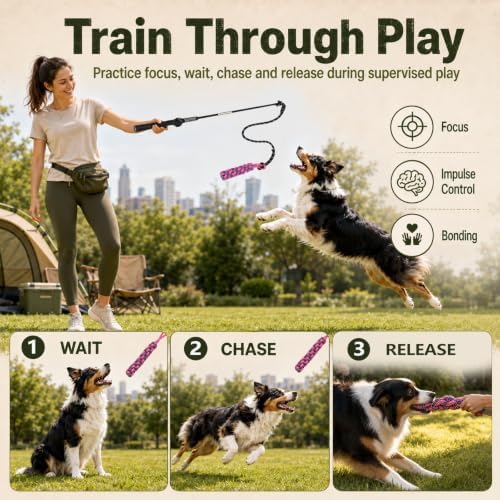 Flirt Pole for Dogs,Heavy Duty Interactive Chase & Rope Tug Toy