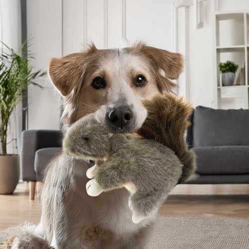 Vaulted Skulls & Co Squirrel Dog Toy w/Squeaker | Realistic Animal Plush Squirrels Dogs Toys | Stuffed Squeaky Squirrel Toy for Pets (2)