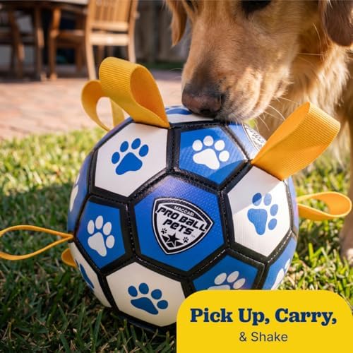 Maccabi Interactive Dog Soccer Ball for Dogs, 6” with Straps & Grab Tabs, Floats on Water, Fetch & Training Toy for Small/Medium Dogs, Herding Breeds, Waterproof Non-Toxic – ProBall Pets – Blue White