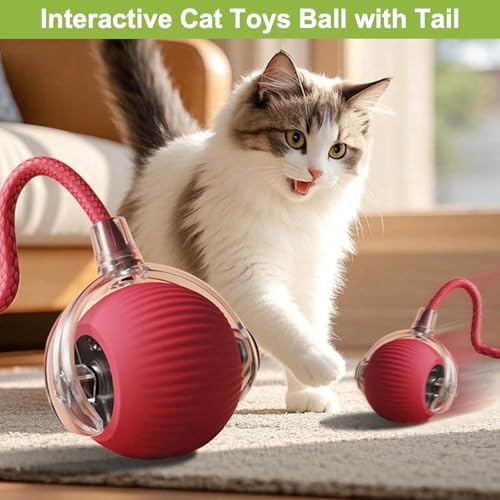 2 Pack Interactive Cat Puppy Toy Balls with Tail for Indoor