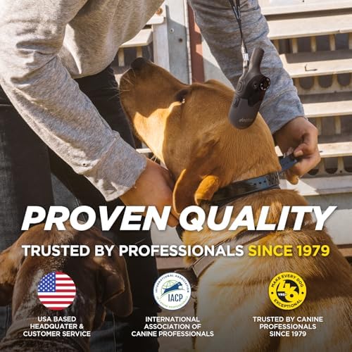 Dogtra 200iQ Professional Remote Training E Collar - 1/2 Mile, 100 Precision Levels, IPX9K Waterproof, Tone & Vibration – Seamless No-Look Control Off-Leash Confidence for Dogs 10lb+