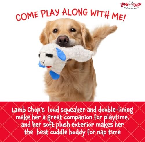 Multipet Lamb Chop Dog Plush Toy - Squeaky Toy for All Dogs - Durable Oxford Lining - Stuffed Animal for Cuddling & Playing (10.5", Blue Paws)