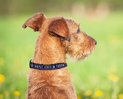 NHL Toronto Maple Leafs Collar for Dogs & Cats, Large. - Adjustable, Cute & Stylish! The Ultimate Hockey Fan Collar!