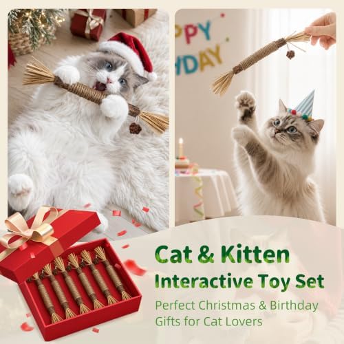 GBSYU Silvervine Sticks Cat Kitten Chew Toys for Indoor Cats Teeth Cleaning