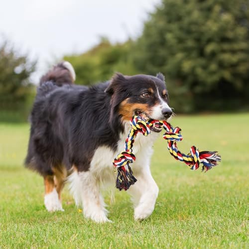 QDAN Dog Rope Toys for Aggressive Chewers, Indestructible Dog Toy, Tough Cotton Chew Toy for Medium Large Dogs