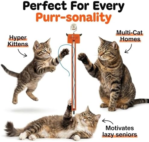 Moody Pet Interactive Cat Toy for Indoor Cats – Fling-AMA-String Automatic, Moving, Flying String Toy for Cats – Battery Operated, Door Hanging Exercise Toy for Kittens & Adult Cats