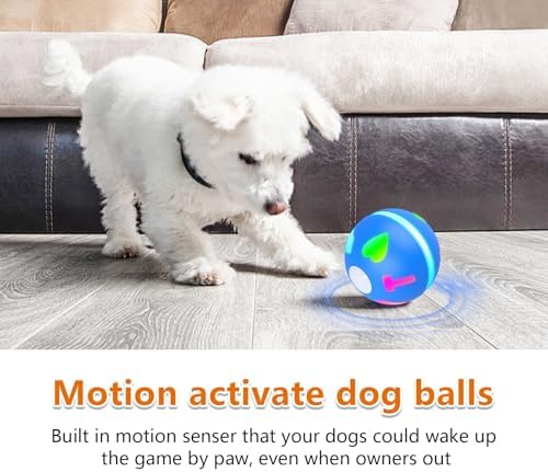 Salodal Interactive Dog Toys Ball, Motion Activated Rolling Dog Ball, Automatic Toy for Small/Medium Dogs,USB Rechargeable Dog Enrichment Toys to Keep Them Busy