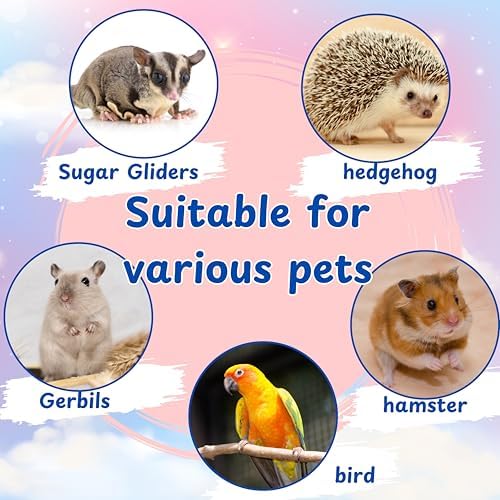 Treat Dispenser Rat Foraging Toy, Rat Enrichment Toys, Interactive Hide Treats Enrichment Toys for Rats Small Animals, Hanging Slow Feeder, Hamster Toy, Guinea Pig Accessories (M, Wood)