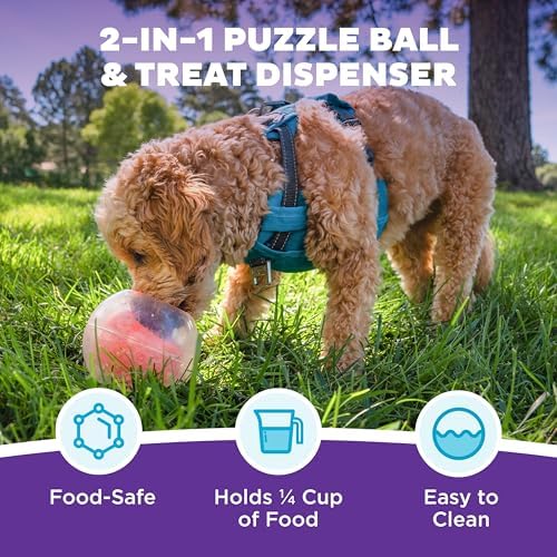Outward Hound by Nina Ottosson Topsy Treat Ball Dog Puzzle, Level 1 Beginner, Orange