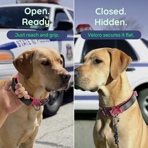 Premium Tactical Dog Collar - Adjustable Military Heavy Duty Dog Collar for Medium Large Dogs - Durable Metal Buckle Dog Collar with Leather Control Handle and Soft Comfortable Padding