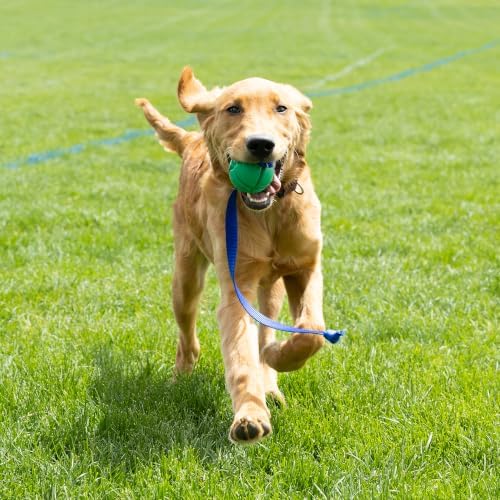 PetKORE: FloTex Tug - Large - 3.25" Green, Rubber Dog Toy, Removable Strap Tail, Patented Airflow Grooves, Bounce-Fetch-Chew, Pet Indoor-Outdoor Play