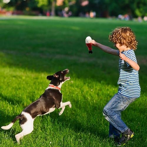 Cooling Freezable Dog Toy with Natural Coffee Wood – Dental Cleaning, Teething Relief & Treat Dispensing Chew Toy for Small Medium Large Breeds (Red)