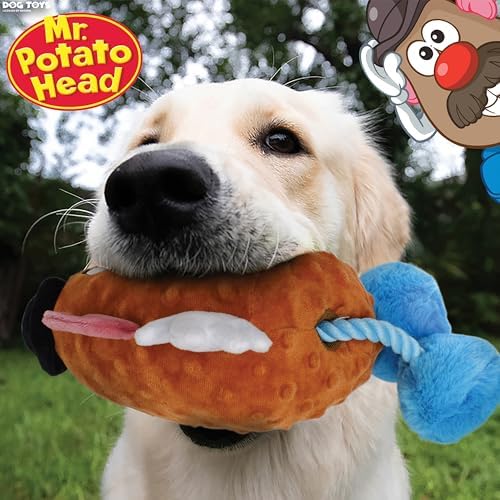 Hasbro 11in Dog Toys Squeak and Crinkle Mr. Potato Head - Mixed Colors