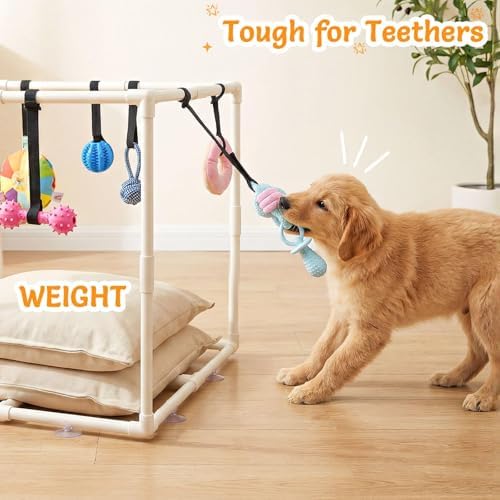 Puppy Play Gym with 15 Toys, Puppy Toys to Keep Them Busy Indoor Play Gym for Mental Stimulation, 23.2" Small Dog Play PVC Frame with Straps