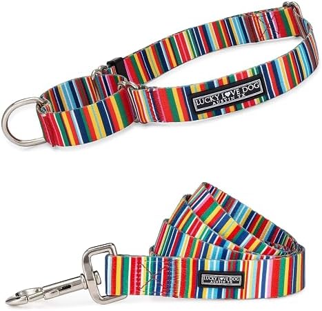 Lucky Love Dog Martingale Collar & Leash Set No Slip Cute – Hippie, Medium