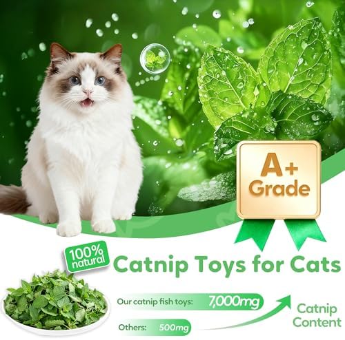 Rishoesu 3 Pcs Interactive Cat Toys Cat Pillows, Soft and Durable Crinkle Sound Catnip Toys, for Indoor Cats Funny Kitten Toys Exercise