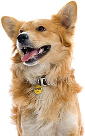 Dynotag® Web Enabled Super Pet ID Smart Tag with DynoIQ™ & Lifetime Recovery Service. Play Series: Round (Cool Shades)