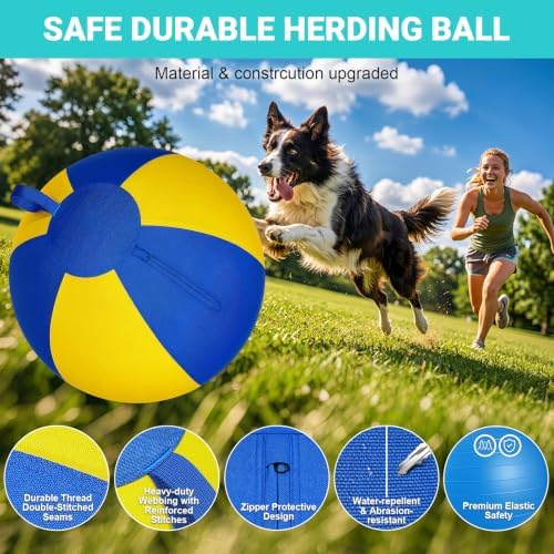 Herding Ball for Dogs Large for Australian Shepherd, Blue-Yellow L
