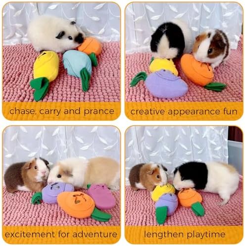 3Pcs Guinea Pig Forage Toys, Guinea Pig Toys Enrichment for Boredom