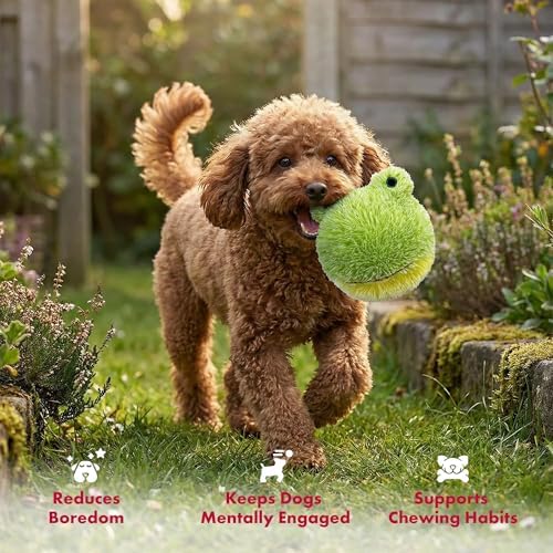 PetLou D.O.G'Z 4-inch EZ Squeaky Frog Dog Plush Toy,Durable Squeaks Bouncy Ball Dog Toy