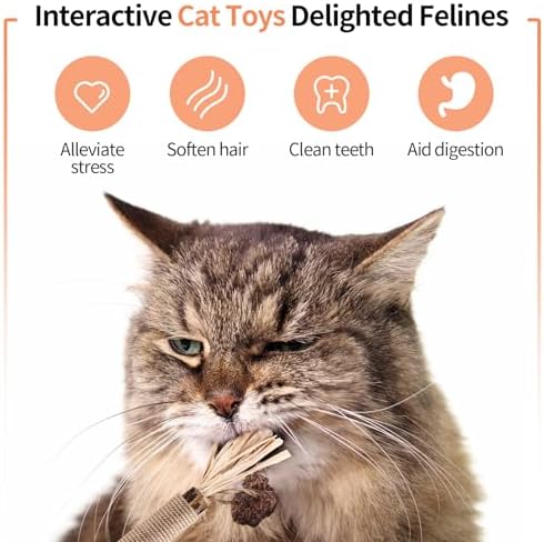 6 Silvervine Sticks Cat Toys with Catnip & Silvervine Powder Set