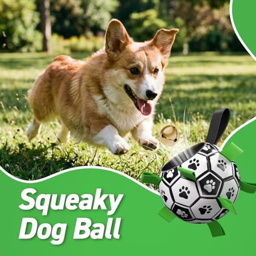 QDAN Dog Soccer Balls with Bell Inside, Squeaky Dog Balls, Birthday Gifts