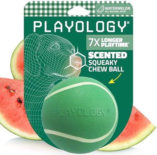 Playology Squeaky Chew Ball Dog Toy - Jumbo, Watermelon Scent