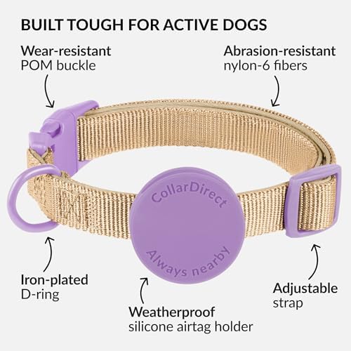 CollarDirect Airtag Nylon Dog Collar Silicon Holder Designed for Apple Airtag with QR Tags Personalized Dogs Puppies 5 Colors Black Pink Violet Green Orange (Violet, S)
