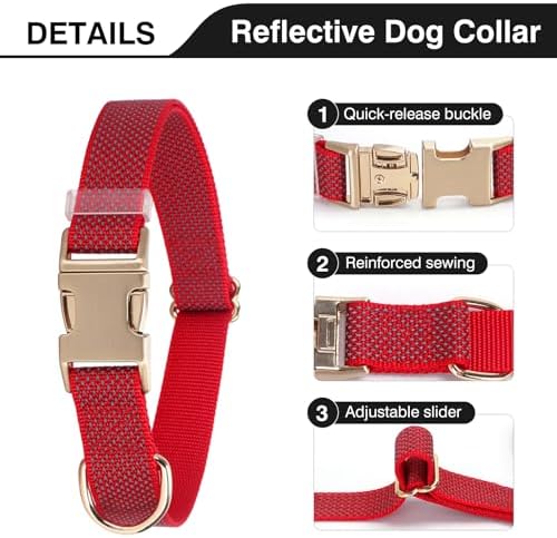 Personalized Reflective Nylon Dog Collar with Name, Orange