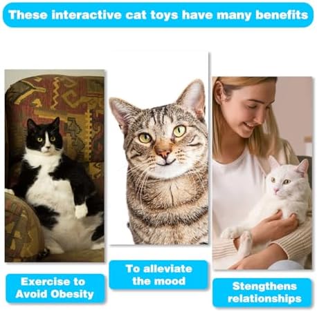 Retractable Cat Toy Wand 12 Packs Interactive Cat Feather Toys