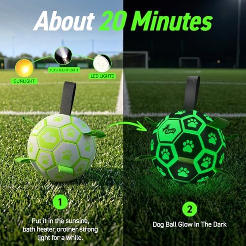 QDAN Glow in The Dark Dog Toys Soccer Ball with Straps, Outdoor Interactive Dog Toys Puppy Birthday Gifts, Dog Tug Water Toy, Light Up Dog Balls for Small & Medium Dogs（6 Inch Size 2） | Light Up Dog Balls for Small & Medium Dogs, 20-40 lbs Dogs Balls, ...