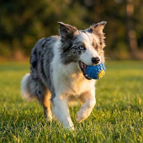 Squeaky Dog Toy Ball, Keyboard-Shaped Chew Toy for Teeth Cleaning, Durable Natural Rubber for Aggressive Chewers, Interactive Dog Toys for Medium & Large Dogs (Royal Blue, Medium(2.6''))