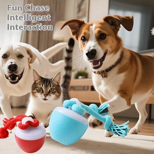 Interactive Dog Ball Toy with Birdsong & Rope, Automatic Moving Dog Toy