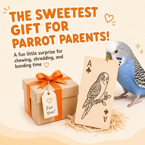 Natural Balsa Wood Bird Chew Toy 13 Count, Shredding Toy for Bird