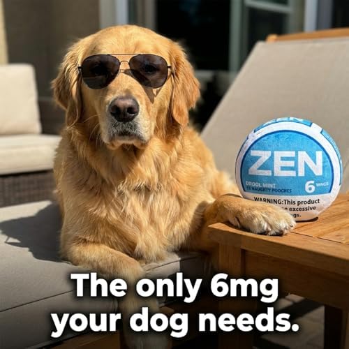 Zen-Pouchy Funny Dog Toy Squeaker - Hilarious Parody Nic Pouch Plush Toy - Durable Interactive Dog Toy for Small, Medium Dogs (Orange)