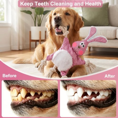 No Stuffing Crinkle Squeaky Dog Toy for Small Medium Puppies,（Rabbit）