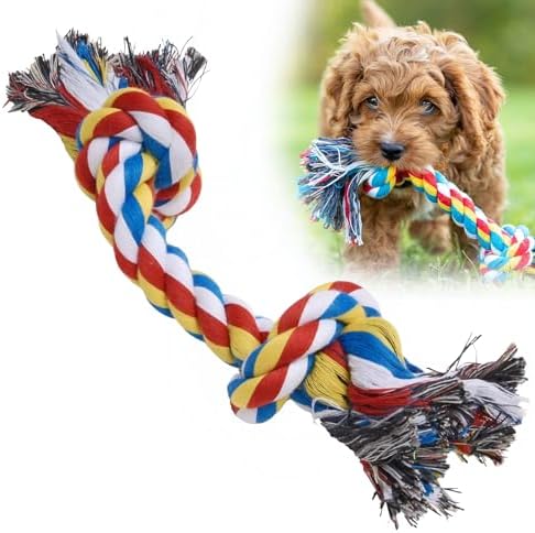 Jeffers Pet Rope Bone Dog Toy, Multi-Colored, 10" – Durable Braided Rope for Tug of War, Chewing & Fetch – Interactive Play for Pets – Machine Washable Dog Game Toy, Supports Healthy