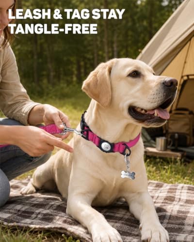 Padded Dog Collar with Waterproof Holder Compatible with Airtag