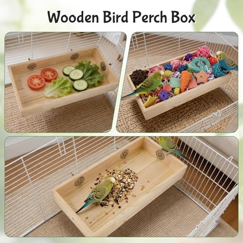 Bird Foraging Toys Box, Wooden Foraging for Birds, Colorful, L