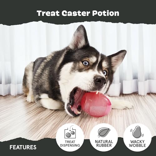 BarkBox Treat Caster Potion Dog Toy - for Large Dogs