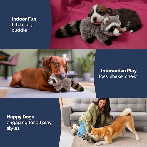 Pet Lou Raccoon Plush Dog Chew Ultra-Thick Toy, Durable Interactive Plush Toy for Medium Dogs, Anti Boredom Dog Squeaky Teething Toys, 8-Inch