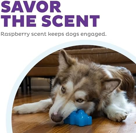 Outward Hound Gummiez Bear Dog Toy & Treat Stuffer, 4.7″ x 3″ Blue Raspberry-Scent Interactive Chew for Dogs, Promote Healthy Teeth, Gums & Mental Enrichment, Reduce Boredom & Support Dental Health
