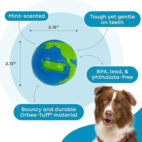 Outward Hound by Planet Dog Orbee-Tuff Planet Ball Blue/Green Treat-Dispensing Dog Toy, Small
