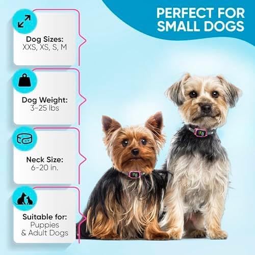 2 Pack Tiny Bark Collar for Small Dogs 5-15 lbs and Puppies - No Shock Anti Barking Collar - Rechargeable Smart Collar for Dog Training with 7 Sensitivity Levels and 3 Beep&Vibration Modes